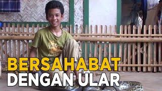 Anak ini sudah bersahabatan dengan ular sejak kecil | JELANG SIANG