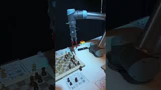 Robot plyaing chess with me in Roboland Florida #robot #robots #robotshow