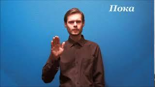 Язык жестов. Привет - пока