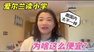 愛爾蘭小學每年只花200歐？ 學校“福利”這麼好，靠啥維持運營？ 【keke姐的歐洲生活】