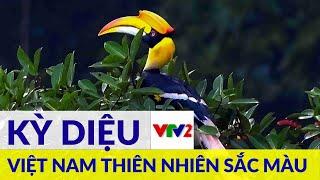 Thiên nhiên sắc màu|Tập 1|Những sắc mầu của thực vật | THẾ GIỚI ĐỘNG VẬT VIỆT NAM|VTV2