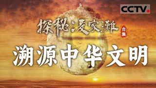 回顾凌家滩遗址三十多年来的考古发掘与重大发现！揭秘五千多年前长江下游的文化聚落 探寻凌家滩文化在中华民族历史进程中起到的作用【CCTV纪录】