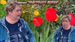 ОЛЬГА УРАЛОЧКА LIVE //ВЫРУЧАЮТ ЦВЕТЫ// НОВОСТИ ОТ 21.05.25 ВЫПУСК № 2