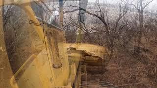 Dozer Clearing Land