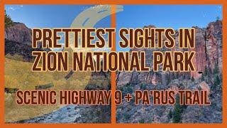 Best Sights In Zion National Park | Scenic Highway 9 & Pa’Rus Trail | Nomadic Weekenders Hiking Vlog