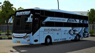 Svayam travels livery | MAYYLO YT | bussid | bus simulator indonesia | surat all travels livery