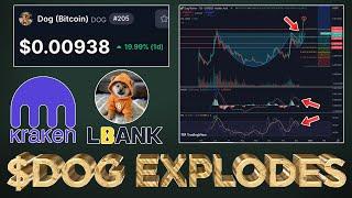 $DOG (Bitcoin) Targeting $1 Billion Market Cap  (MUST WATCH)