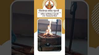 कालसर्प पूजा त्र्यम्बकेश्वर | Kaal Sarp Puja Trimbakeshwar - Pandit Rishikesh Guruji 7666287421