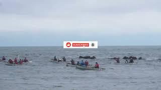 Paddling Through Sunnyside Beach