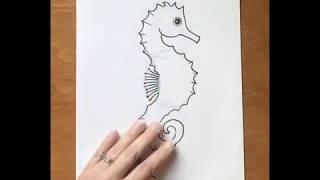 Time Lapse of How to Draw a Seahorse