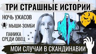 ТРИ ЖУТКОВАТЫЕ ИСТОРИИ ИЗ СКАНДИНАВИИ. МОЙ ЛИЧНЫЙ ОПЫТ.