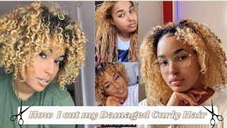 How I cut my Damaged curly hair | Patricia Bento