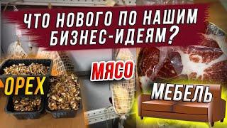 Что нового по нашим бизнес идеям - орех, мясо, мебель? Что дальше?