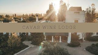 Cavas Wine Lodge: A Luxurious Wine Hotel in Mendoza