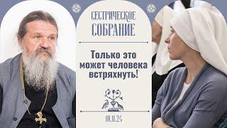 Больно и страшно: что будет и как будет? Важно быть вместе! Сестрическое собрание 10.11.2024