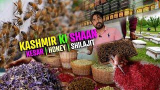 Live Shilajit Making | Dry Fruits Market in Kashmir | Honey Farming In Kashmir | Saffron Processing
