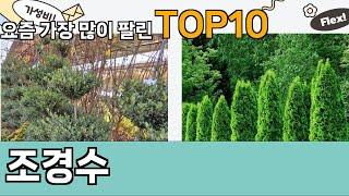 가장 많이 팔린 조경수 추천 Top10!