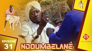 Wadial Tabaski Ndoumbelan ak Mandoumbe Episode 31 Tabaski 2024