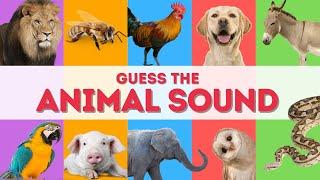 Guess the ANIMAL Sound for Kids 