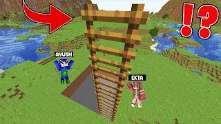 Ayush and Ekta Found NEW BIGGEST LADDER in MINECRAFT 