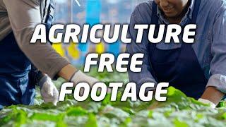 Agriculture free stock footage (No Copyright Audio And Footage)