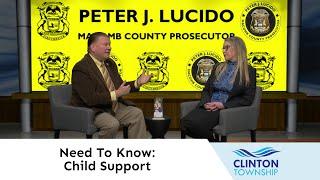 Need to Know with Peter J. Lucido: Child Support