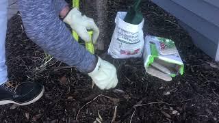 How To Fertilize Trees & Shrubs With Fertilizer Spikes Keyfit Tools Land Staker Available on Amazon