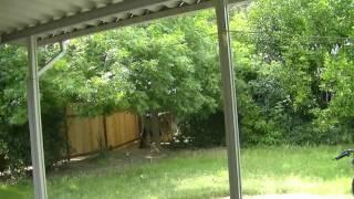 Time Lapse of Backyard