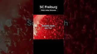 SC Freiburg | Oh Julian Schuster, du alter Gauner #scfreiburg #scf #fangesang #freiburg #fankultur