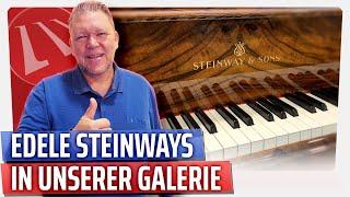 WOW! Zwei fantastische Edel-Steinways in unserer Klavier & Flügel Galerie!