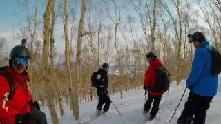 Niseko Weiss Cat Skiing February 2017