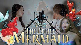 【THE FIRST TAKE】Little Mermaid-Part of Your World (English Cover)