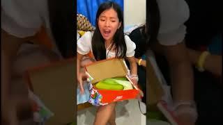 Funny Videos 