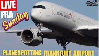 Live Sunny Sunday Planespotting Frankfurt Airport | 07 Action | RJ125