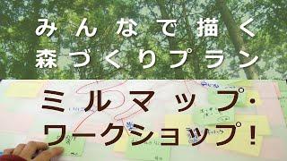 みんなで描く森づくりプラン|ミルマップ・ワークショップ！【モリダス】