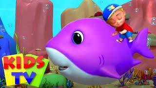 Cá mập cười | Nhac thieu nhi | Thơ phổ biến | Kids Tv Vietnam | Vần điệu trẻ | Mẫu giáo