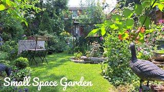 Small Garden Full of Summer Flowers | Perennial Garden Tour