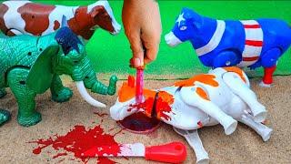 BAQRAEID ‼️ WADIDAU POTONG SAPI SIMOLASI QURBANI IDULIDHA  COW CARTOON VIDEO @toystory7209