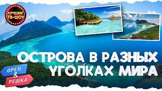 ПОТРЯСАЮЩИЙ ОТДЫХ НА ТИХООКЕАНСКИХ ОСТРОВАХ | ОРЕЛ И РЕШКА |ЛУЧШИЕ ТВ-ШОУ