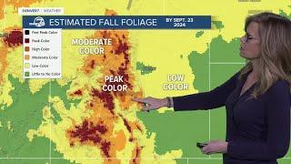 Colorado fall colors 2024: Here’s what the fall foliage forecast looks like