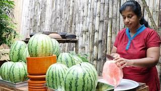 Watermelon Recipes  She is making Watermelon Pie from Fresh Watermelon Juice at her Village Home