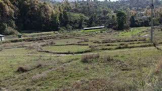 main highway lok marga ma  dam urgent jagga bikrima. contact 9851019741,ktm to nuwakot 30km.