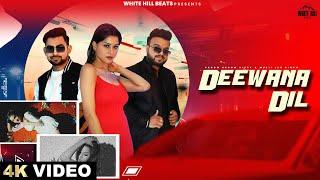 Deewana Dil (Official Video) | Vroom Vroom Vippy & Muzii Luv Singh | Hindi Songs 2024