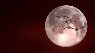 scary bats fly on full moon