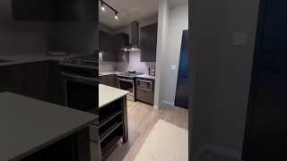 Luxury apartment tour! West Loop, Chicago