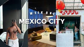 MEXICO CITY VLOG: Mezcal & Taco tasting | Lucha libra night - where I stayed.
