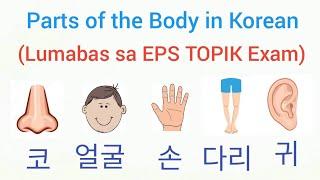 Parts of the Body in Korean | part 1 | Oliquino Tutorial