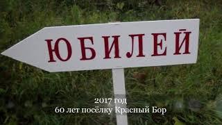 Москалева Светлана Николаевна "Там, где шумел сосновый бор..."
