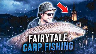 Fairytale Carp Fishing | Lake Bled