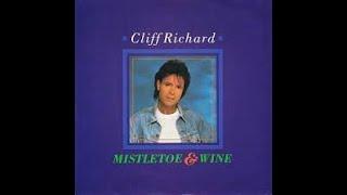 Mistletoe and Wine - Cliff Richard  Cover Siegfried Schlag Tyros3